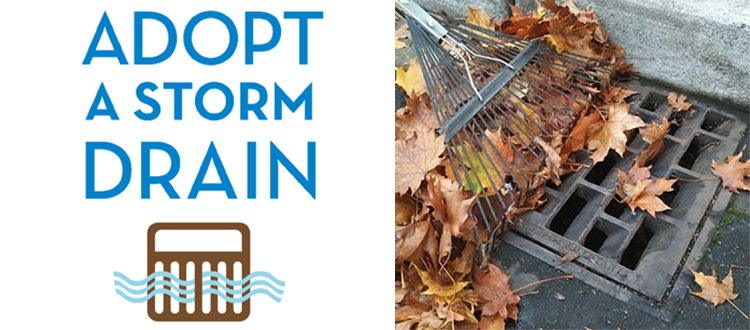 Adopt a stormsrain